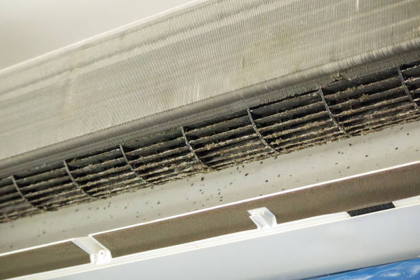 Best Emergency Air Duct Cleaning  in Nocatee, FL